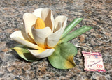 Capodimonte Flower - Water Lily #1