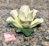 Capodimonte Flower - Magnolia #1